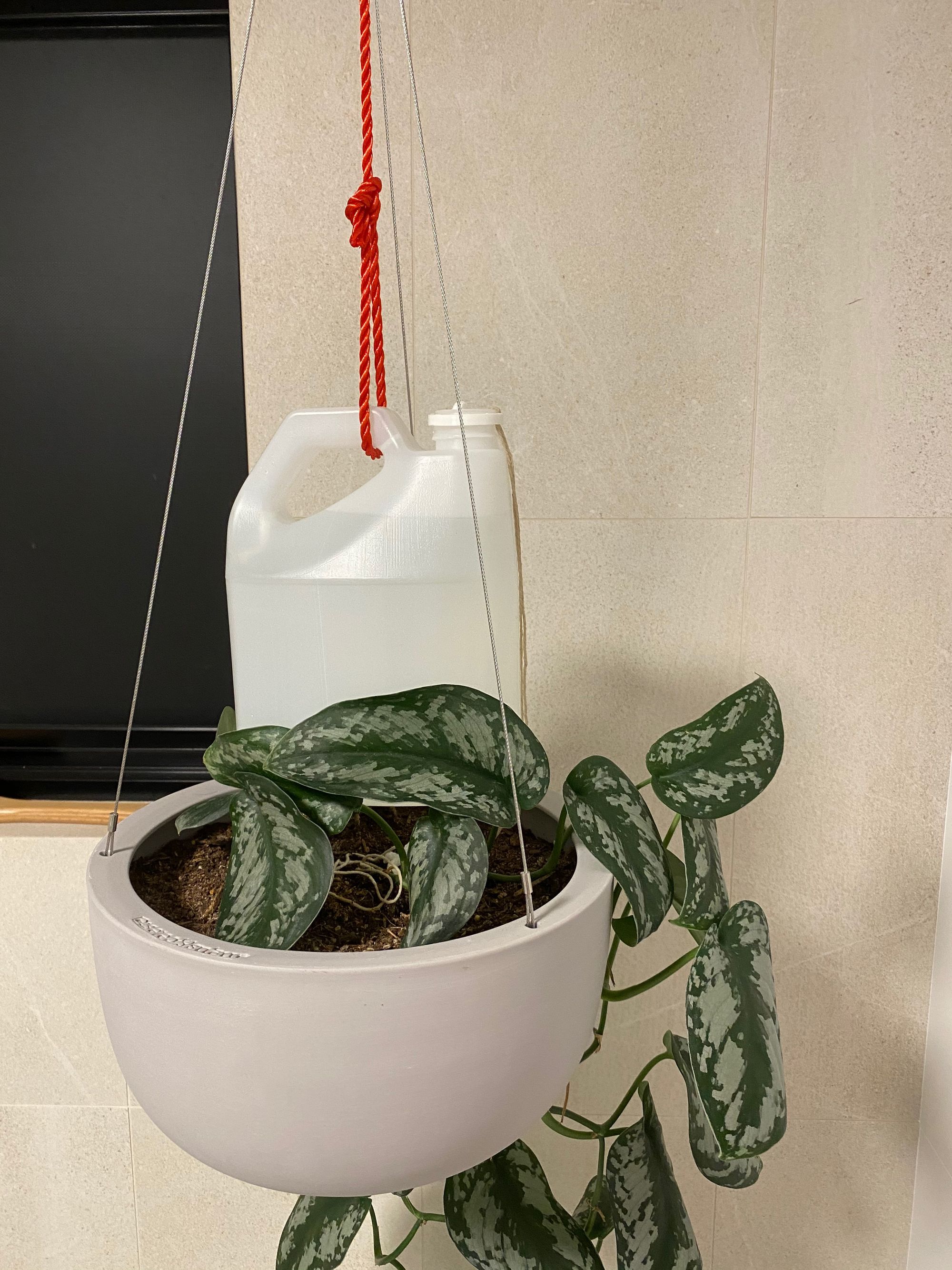 Wick Watering Indoor Plants